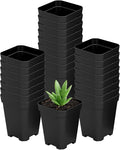 Square Nursery Pots 60Pcs 3" Deep Succulent Plastic Pots Small Flower Planter Seeds Starter Germination Pots for Plants, Succulent, Flower
