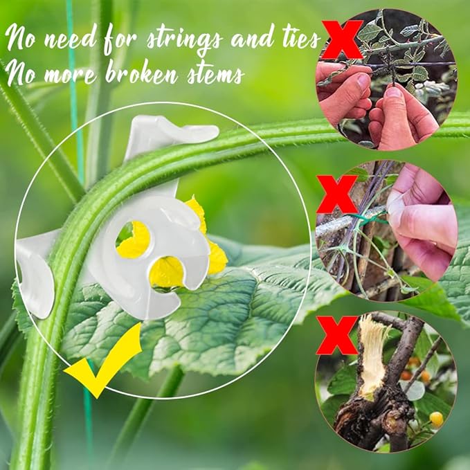 60 Pack Plant Bender Angle Adjustable Plant Training Clips Low Stress Training Clips 90 Degrees Plant Stem(Circle Style,Transparent)