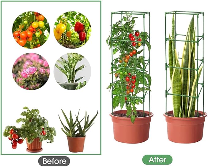 3 Pack Tomato Cage Square Tomato Plant Stakes Support Cages Trellis Outdoor Plant Support Cages Stakes for Garden Climbing Vegetables Flowers Fruits,Extra Bold (48 inch)