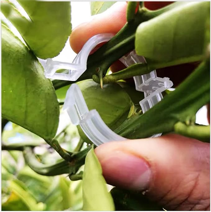 120 Pack Tomato Clips for Climbing Plants - Plant Support Clips, Garden Clips & Tomato Trellis Accessories | Plastic Plant Clips for Vertical Gardening, Cucumbers, Orchids, Vegetables