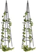 Evergreen Metal Garden Obelisk Trellis for Climbing Plants Outdoor, Indoor Plant Trellis for Potted Plants, Floral Pattern Arch Trellis (Black, 6 ft. Pyramid, Set of 2)