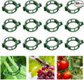 100pcs Plant Support Clips for Climbing Plants, Reusable Plastic Trellis Clips for Tomato, Grape Vine, Vegetables, Garden Fixing Clips (300, Green)