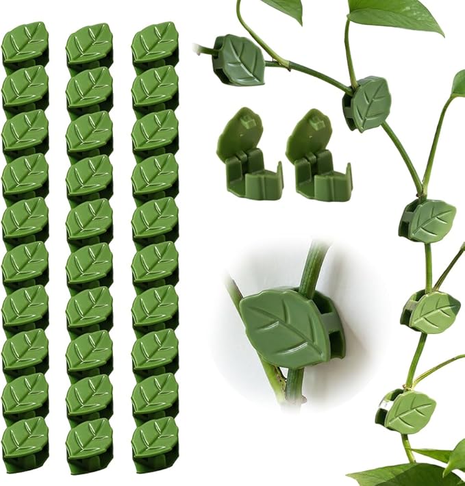 100 Pcs Plant Climbing Wall Fixture Clips with Acrylic Adhesive Sticker, 2026 New Wall Vines Fixing Clips, Leaf Fixer Invisible Wall Vines Fixing Clips Hook for Indoor Outdoor Decoration (100PCS)