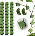 60 Pcs Plant Climbing Wall Fixture Clips with Acrylic Adhesive Sticker, 2026 New Wall Vines Fixing Clips, Leaf Fixer Invisible Wall Vines Fixing Clips Hook for Indoor Outdoor Decoration (60PCS)