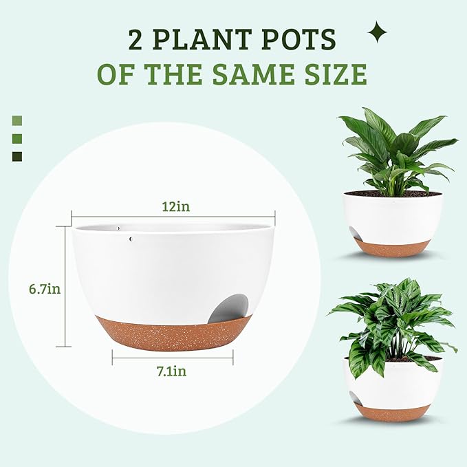 Plant Pots 12inch Self Watering Pots, Set of 2 Plastic Planters with Drainage Holes and Saucers, Flower Pots for Indoor Outdoor Plants (White)