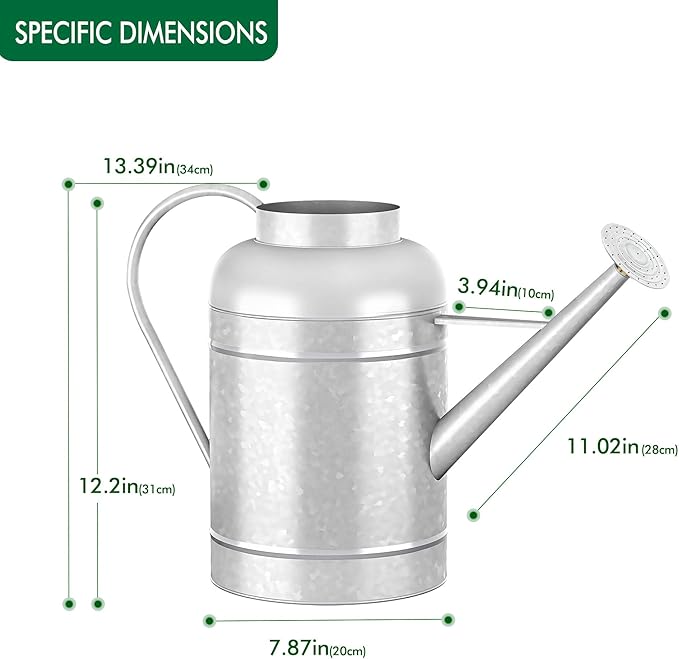 2.3 Gallon Bowl Decorative Countryside Style Water Can with Removable Spout, Galvanized Watering Can for Outdoor Indoor Plants, Metal Watering Can for Indoor Plants and Garden Flower