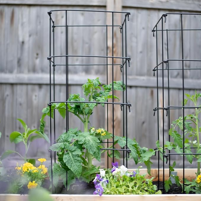Gardener's Supply Company Super-Duty Tomato Cages | Stackable Plant Support for Indeterminate Tomatoes | Black - Set of 4