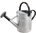1 Gallon Metal Watering Can for Outdoor Garden, Plant & Flower Watering Pot for Gardening Bonsai Water Bucket with Sprinkler Head