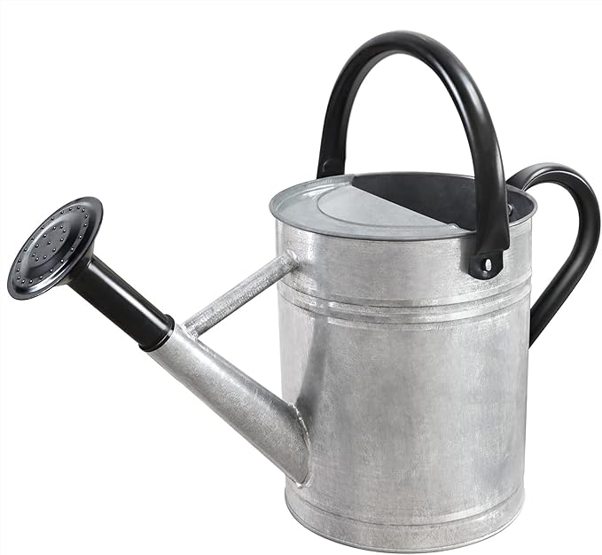 1 Gallon Metal Watering Can for Outdoor Garden, Plant & Flower Watering Pot for Gardening Bonsai Water Bucket with Sprinkler Head