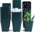 June Fox Small Seedling Pots 4 Inch, 100 Pcs Square Plant Pots Bulk, Plastic Nursery Pots with Drain Holes for Seedlings, Succulents, Cuttings (Green)