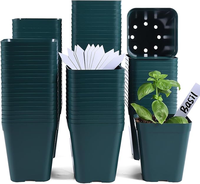 June Fox Small Seedling Pots 4 Inch, 100 Pcs Square Plant Pots Bulk, Plastic Nursery Pots with Drain Holes for Seedlings, Succulents, Cuttings (Green)