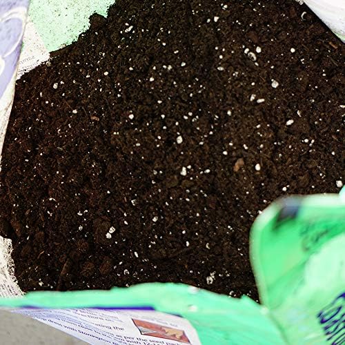 Coast of Maine Organic & Natural Sprout Island Blend Seed Starter - Seed Germination & Root Plant Cuttings w/ Composted Manure, Mycorrhizae, Worm Castings & Kelp - Enhanced Drainage (16 Qt)