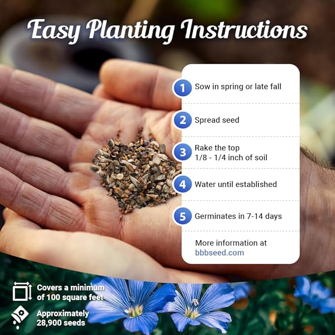 Rocky Mountain Wildflower Seed Mix 1oz - Premium Wildflower Seed Mix for High Mountain Elevations 1 oz