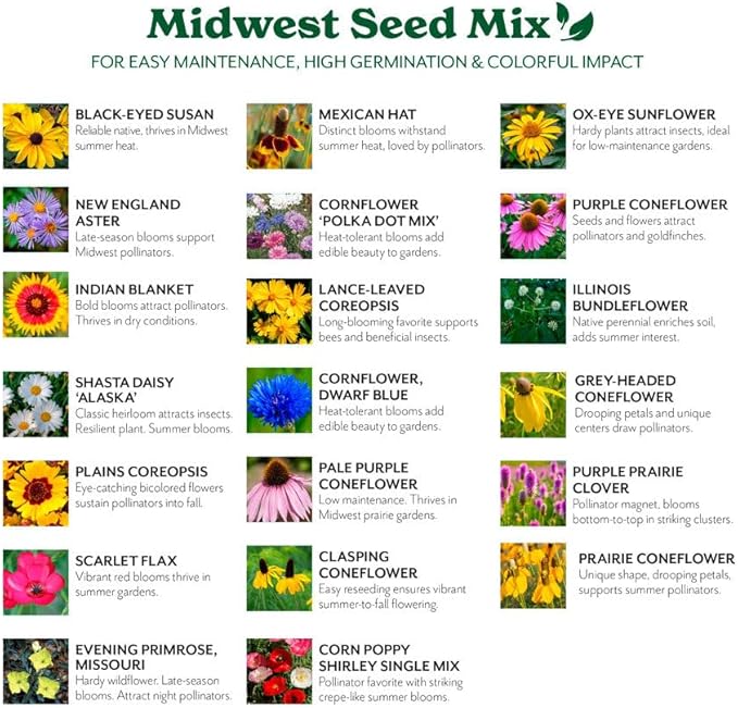 Grow Your Own Vibrant Annual and Perennial Wildflower Garden Seeds Mixture, Varieties for Pollinators and Spring Gardens - Midwest Regional Mix, 1/4 lb