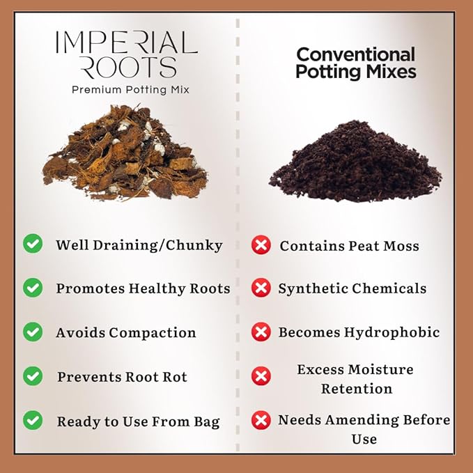 Premium Indoor Plant Potting Mix (4qt) – Peat-Free, Well-Draining Soilless Blend for Aroids & Tropical Houseplants with Coco Coir, Biochar & Pumice