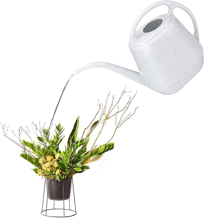 Fasmov Plastic Watering Can, 1-Gallon