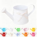 White Metal Watering Can 1 Gallon, Small Galvanized Steel Watering Can with Sprinkler Head for Indoor and Outdoor Plants, Vintage Decorative Gardening Tool (White)