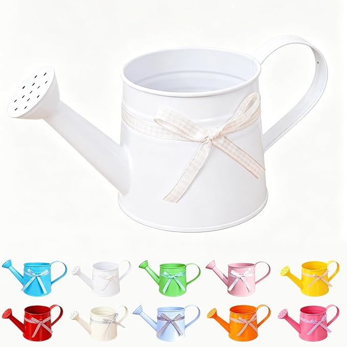 White Metal Watering Can 1 Gallon, Small Galvanized Steel Watering Can with Sprinkler Head for Indoor and Outdoor Plants, Vintage Decorative Gardening Tool (White)