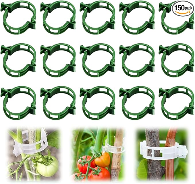 Secured Plastic Plant Clip, 2025 New Garden Plant Support Clips for Climbing Plants, Plastic Trellis Clips Tomato Grape Vine Vegetables Plant Fixing Clips (150, Green)