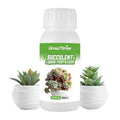 Succulent Liquid Fertilizer 10oz – Organic Plant Food for All Succulents & Cacti, Natural Probiotic Formula, Root & Leaf Growth Booster, Easy to Use 1:400 Concentrate, Odor-Free