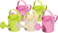 TOYANDONA 5pcs Mini Watering Cans - Small Watering Cans Garden Metal Iron Water Pot for Plants Flowers Bonsai Indoor Outdoor Garden (Random Color)
