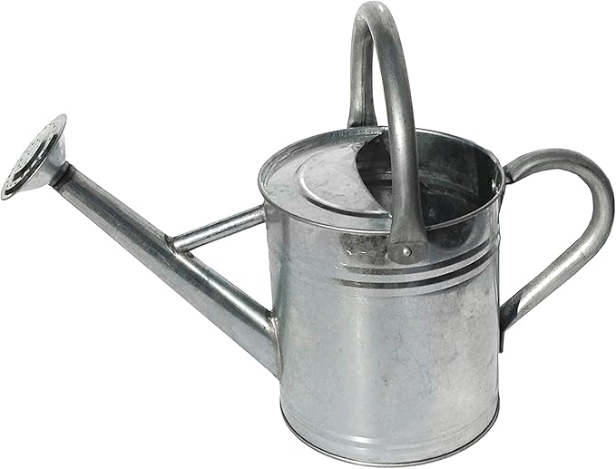 Gardener's Select AW3005PG Watering Can, Galvanized, 7 L