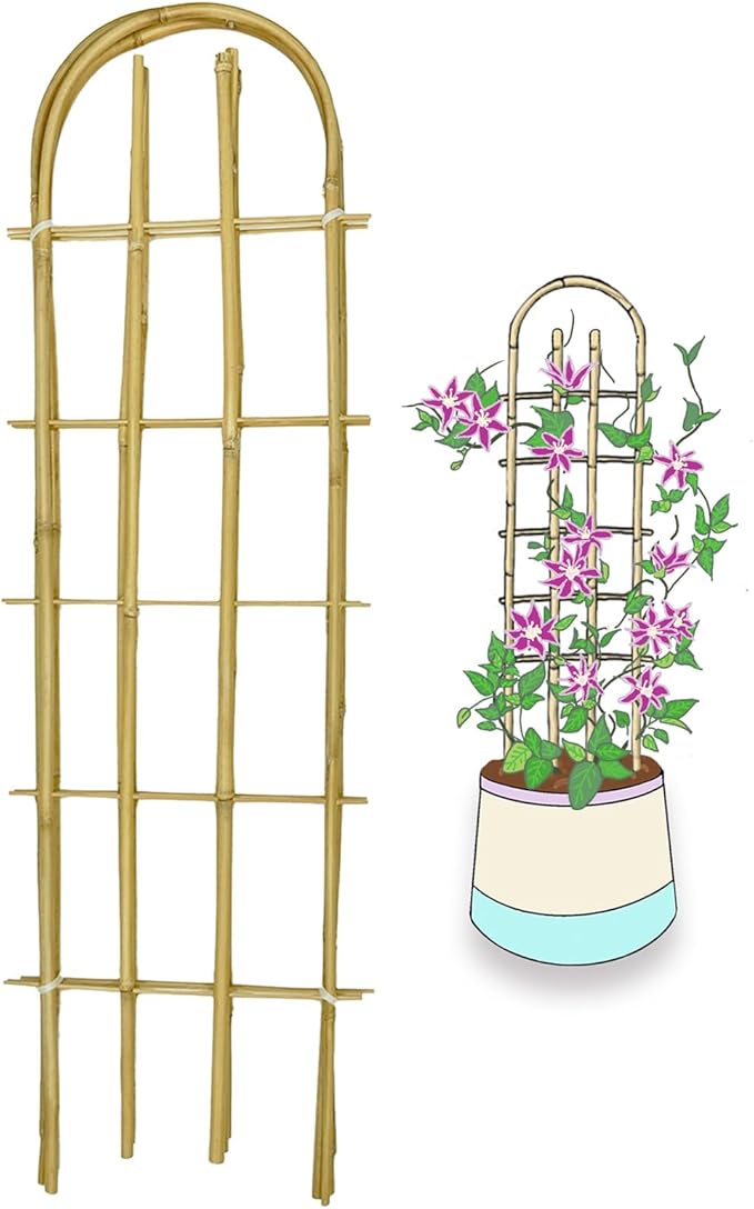 Bamboo Trellis,U-Shape Bamboo Trellis,3Feet,3pack,Trellis for Climbing Plants Outdoor Bamboo,for,Climbing Plants,Tomato, Vegetables,Flowers, Beans, Cucumber,Indoor Potted Climb Plants