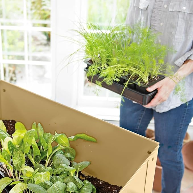 Gardener's Supply Company GrowEase Seed Starting Self Watering Tray |12-Cell Seedling Tray with Capillary Mat, Water Reservoir & Germination Dome | Indoor Greenhouse Gardening Kit