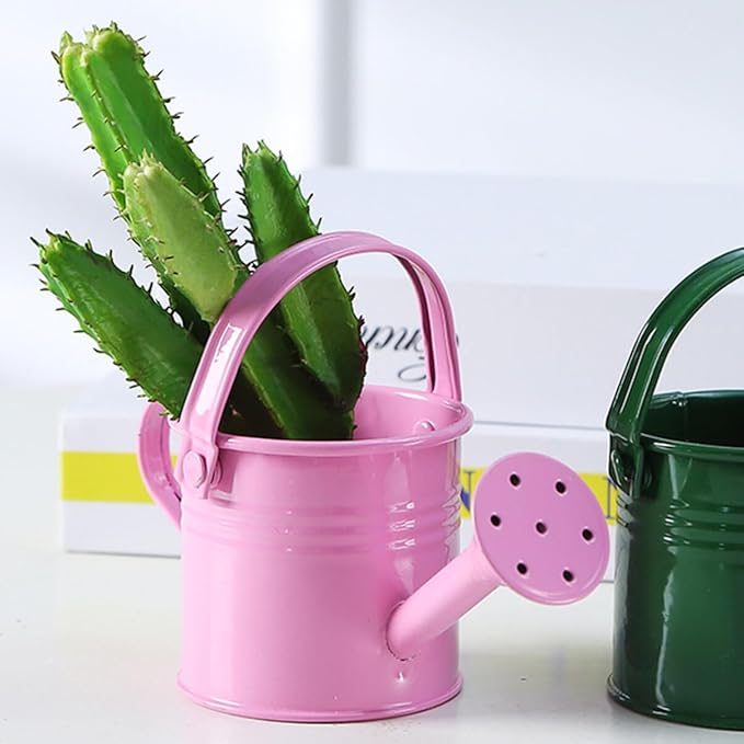 DOITOOL Kids Watering can Metal Portable Small Watering Pot for Indoor Outdoor Plants Flowers with Long Spout and Stable Base 6 Inch