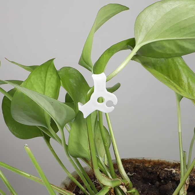 60 Pack Plant Bender Angle Adjustable Plant Training Clips Low Stress Training Clips 90 Degrees Plant Stem(Circle Style,White)