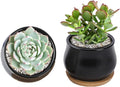 SHECIPIN 2 Pack Succulent Pots, 2.5 Inch Mini Ceramic Pots for Flower or Cactus Plants with Drainage Hole,Plants Not Included (Black)