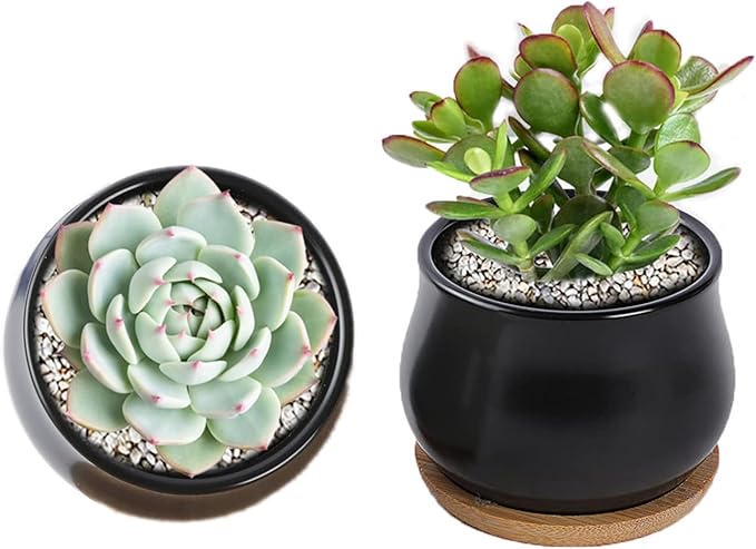 SHECIPIN 2 Pack Succulent Pots, 2.5 Inch Mini Ceramic Pots for Flower or Cactus Plants with Drainage Hole,Plants Not Included (Black)