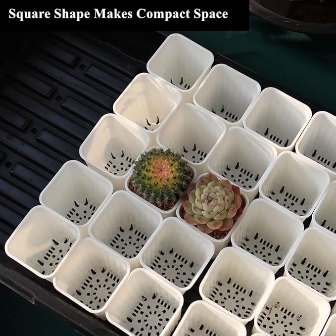 BangQiao 180 Pack 1.95 Inch Tiny White Plastic Square Nursery and Seedling Pot, Mini Deep Transplant Seed Starter Planter with Drain Hole for Germination, Herb, Succulent