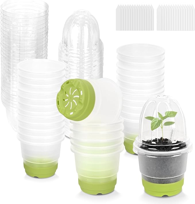 Sckee Clear Nursery Pots for Plants, 30 Packs Plastic Seed Starting Pots with Drainage Holes Plant Nursery Pots Silicone Base (Dark Green, 4 inch with lids)