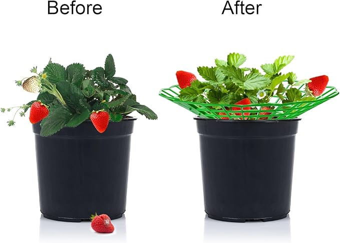 20 Pack Strawberry Supports, Strawberry Plant Stand With 3 Sturdy Legs, Strawberry Growing Racks, Strawberry Growing Frame Holder Cage, Keeping Berries Clean