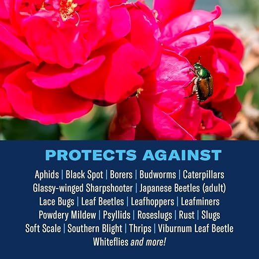 BioAdvanced All-In-One Rose and Flower Care Fertilizer, Granules, 4 lb, Rose Fertilizer and Disease Control