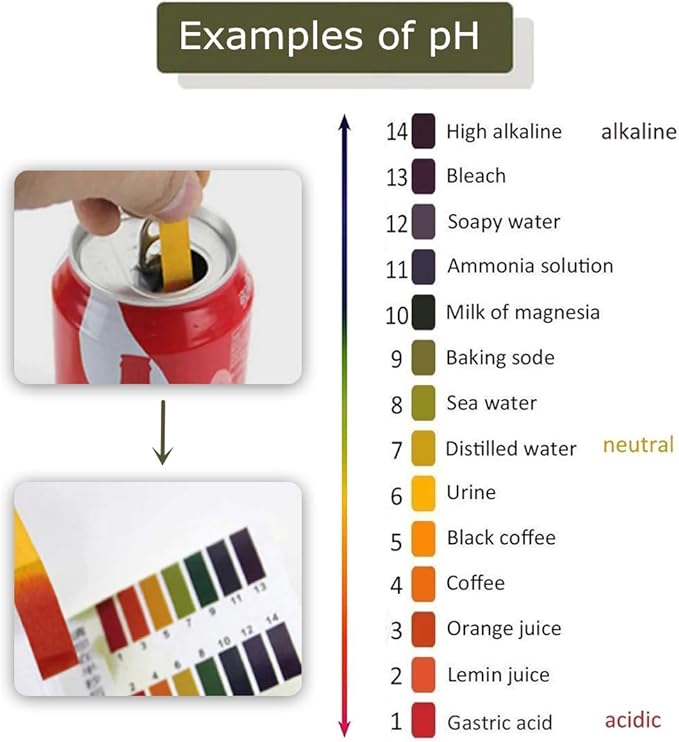 9 Pack pH.1-14 Test Paper Extensive Test Paper Litmus Test Paper 720 Strips pH Test with Storage Case for Saliva Urine Water Soil Testing Pet Food and Diet pH Monitoring