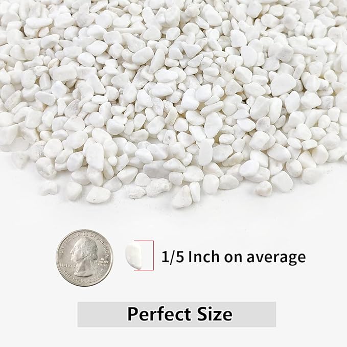 YISZM 2LB Succulent and Cactus Gravel Pebbles, 1/5 Inch White Natural Decorative Polished Stones, River Rocks for Plants, Vases, Aquariums, Terrarium and Outdoor Gardening,White