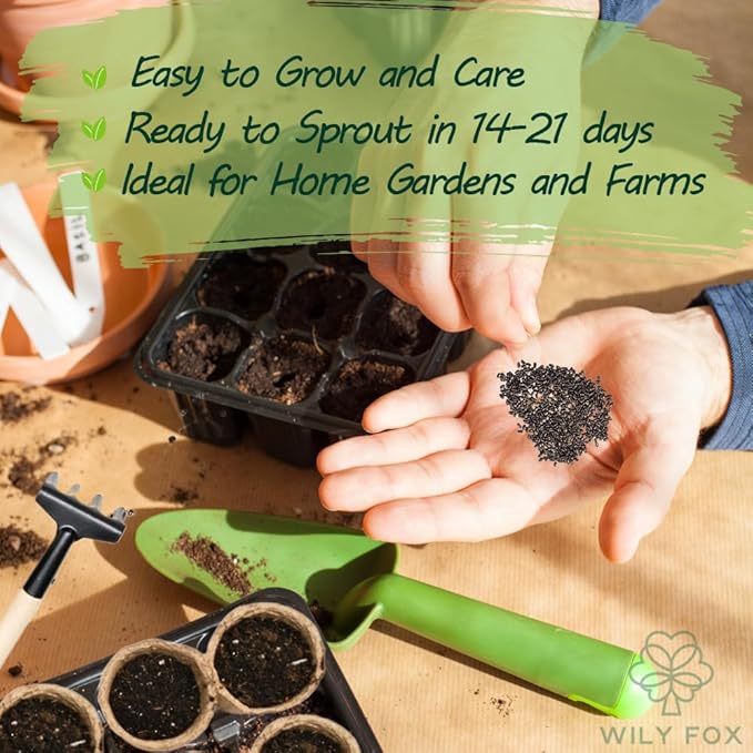English Lavender Seeds for Planting (Lavandula angustifolia) - 3000+ Heirloom, Non GMO - Fragrant Purple Flower Seeds for Garden Beds, Borders, Pots & Bouquets
