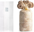 Sealable Mushroom Grow Bags with 0.2 Micron Filter,10''x5.5''x24'',0.08mm/3.15mil Thick PP,Extra Large Size Transparent Cultivation Bags for Commercial & Home Use (25PCS)