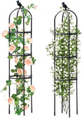 Garden Trellis for Climbing Plants Outdoor, Metal Plant Trellis with PE Coated, Rustproof Plant Support for Flowers Vegetable Vine, Tomato cage for Potted Plants Indoor Outdoor,Lightweight - 2 Pack