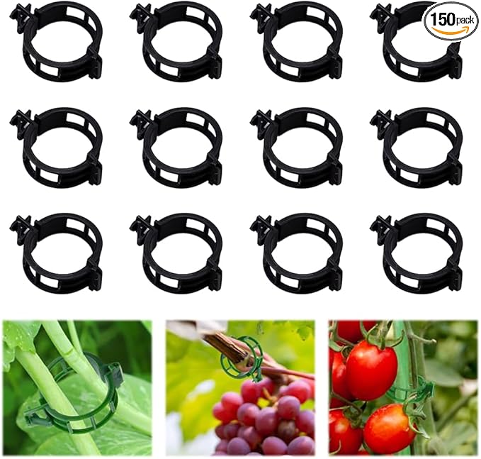 100pcs Plant Support Clips for Climbing Plants, Reusable Plastic Trellis Clips for Tomato, Grape Vine, Vegetables, Garden Fixing Clips (150, Black)
