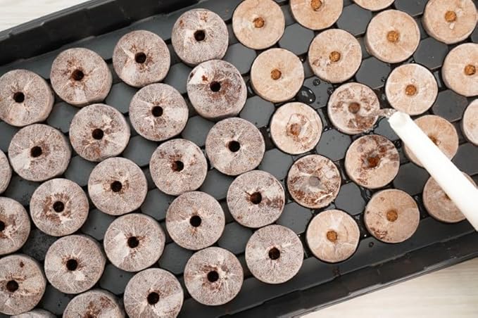 PlantBest 50 Coconut Coir Pellet Seed Starting Greenhouse Kit – Jumbo 42mm Peat-Free Pellets, Seed Starter Tray with Humidity Dome, Sustainable Indoor Growing System