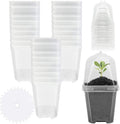 EBaokuup 30PCS Clear Plant Nursery Pots with Humidity Dome - 3" Durable Plastic Gardening Pot, Small Plant Container for Seedlings/Vegetables/Succulents/Cuttings