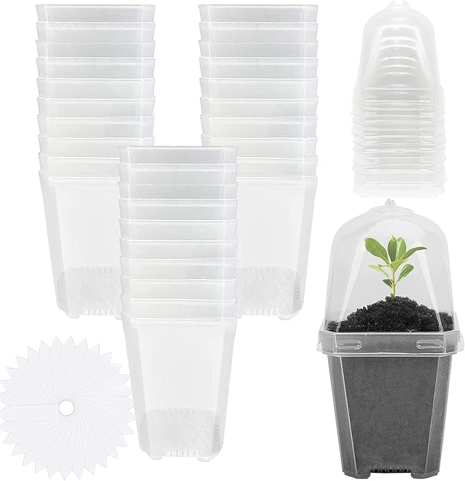 EBaokuup 30PCS Clear Plant Nursery Pots with Humidity Dome - 3" Durable Plastic Gardening Pot, Small Plant Container for Seedlings/Vegetables/Succulents/Cuttings