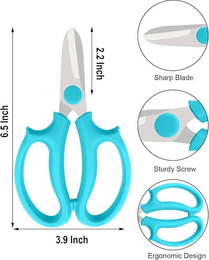 Flower Scissors - Stainless Steel Flower Shears, Garden Plant Floral Shears for Fresh Flowers Stems (Blue, Green, Pink, Violet) (1 PC Blue)