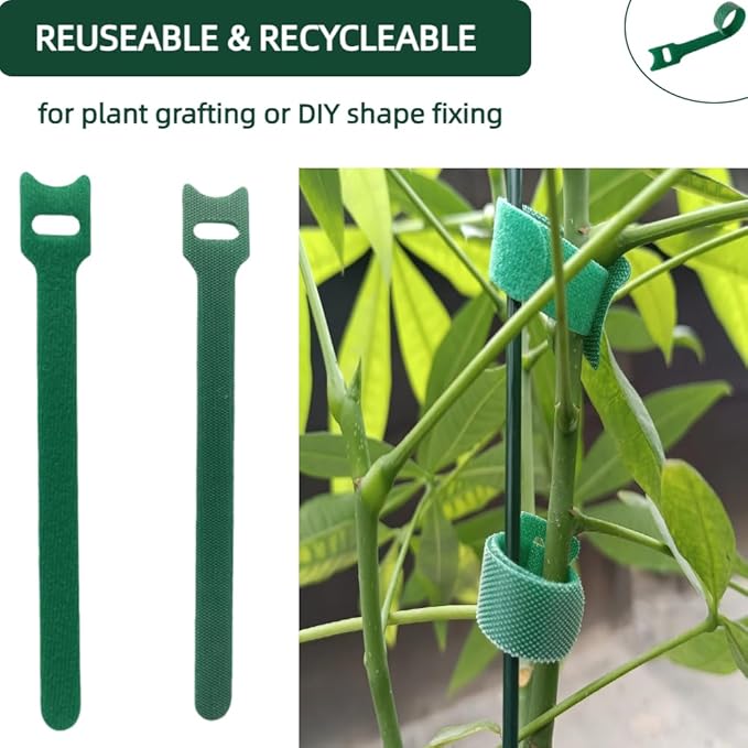 Green, Reusable, 100PCS, 8inch Adjustable Anti - Slip Nylon Plant Ties & Straps Featuring Hook and Loop Fasteners - Optimal for Climbing Plants Support Christmas Garland Ties (8 in x 0.5 in)