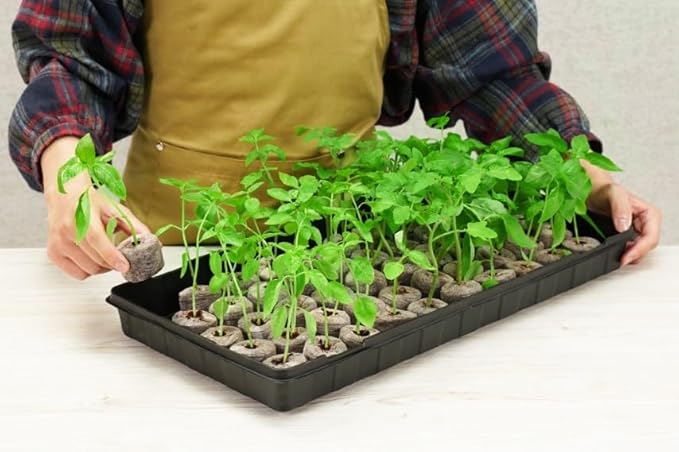 PlantBest 50 Coconut Coir Pellet Seed Starting Greenhouse Kit – Jumbo 42mm Peat-Free Pellets, Seed Starter Tray with Humidity Dome, Sustainable Indoor Growing System