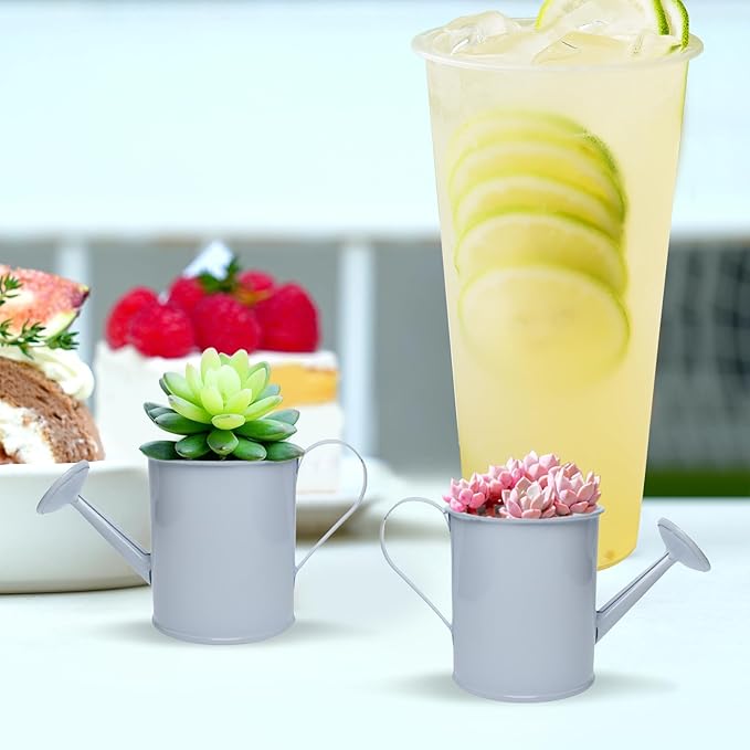 Mini Handmade Decorative Watering Can, Set of 6, Height 2.36 inch, Cute Metal Jug for Hand Crafts,Garden Theme Parties, Home Decor and Accessories of Refrigerator Magnets (Height 2.36 inch)