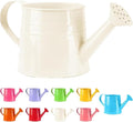 Watering Can, 1L Metal Flower Garden Watering Can, Lightweight Durable Decorative Gardening Tool for Outdoor Indoor Plants Lawn Garden (White)